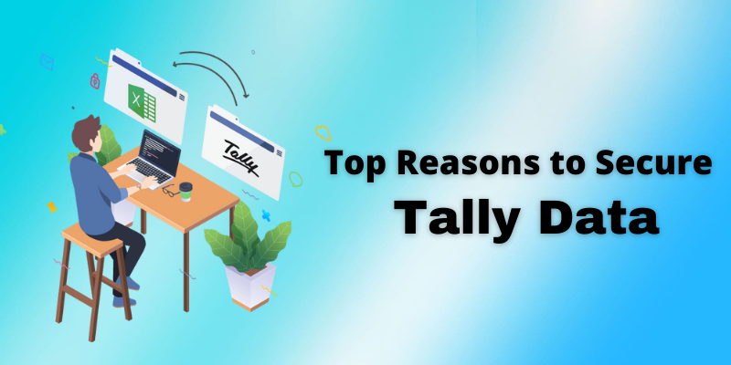 Top Reasons to Secure Tally Data